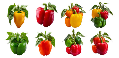 Colorful Bell Peppers Variety on Isolated Black Background, Isolated on Transparent, white background