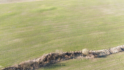 Drone perspective of farmland with tire tracks and crops