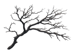 Artistic representation of a bare tree branch for design, cut out