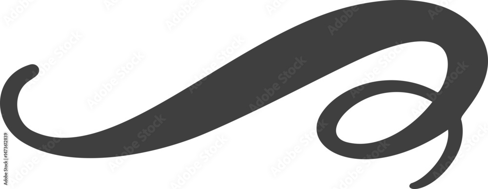 Poster swoosh underline. hand drawn swash and swirl stroke. squiggly swish and calligraphic wavy flourish. 