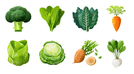 Fresh Vegetables Collection Broccoli Cabbage Spinach Kale and Carrots Healthy Eating and Diet Food Illustration