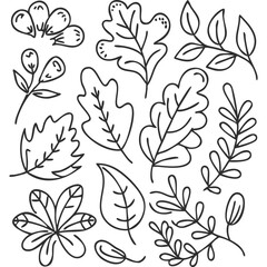 Botanical Illustration Black and White Leaves Branches Scattered Pattern