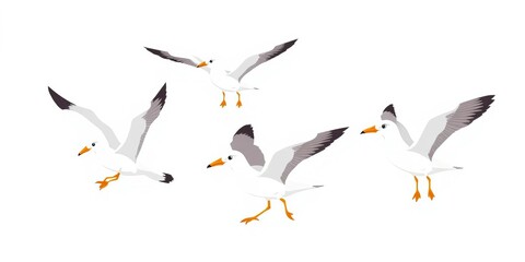 Fototapeta premium Set of cartoon seagulls in dynamic poses, isolated on white background Simple flat style vector illustrations, pose, coast