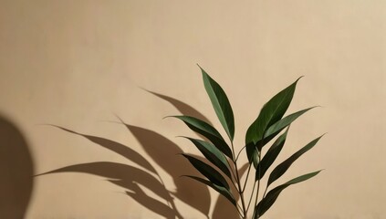 Minimalist plant leaves with natural shadows on beige background.