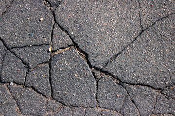This is a detailed closeup photograph of a cracked asphalt road