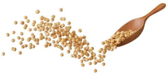 Fototapete soybeans splash © Okea