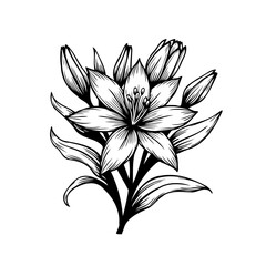 Elegant monochrome botanical illustration displaying blossoming floral arrangement