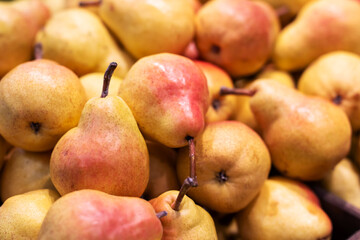A Colorful and Fresh Display of Bountiful Pears to Brighten Any Meal or Dessert Delight