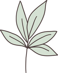 Hand Drawn Leave Doodle Cartoon Design.