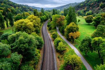 Winding tracks through lush valley, with trees and path, leading to distant mountains