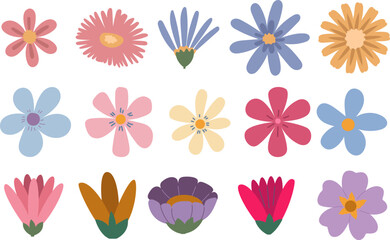 Set of blossom flower heads. Daisy, sunflower, wildflower isolated on white background. Vector illustration