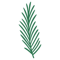 Pine Tree Branch in Hand Drawn Style. Simple cartoon spruce branch decoration for Christmas frames and wreaths. Nature ornament. Cute fir symbol. Holidays green flat twig