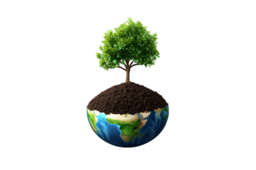 Green tree growing on Earth soil nature conservation environment protection