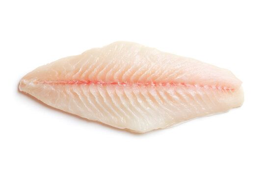 Top view of a haddock fish fillet isolated on white background