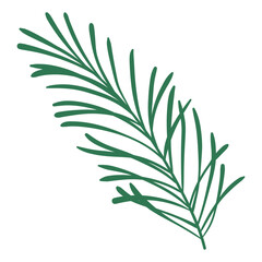 Hand Drawn Green Pine Branch. Cartoon spruce branch decoration for Christmas frames and wreaths. Nature ornament. Cute fir symbol. Holidays green flat twig