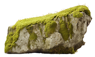 PNG A rock covered by green moss nature plant