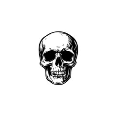 Striking skull graphic, isolated on white, symbolizing mortality and anatomy