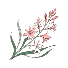 creative water color floral vector art design
