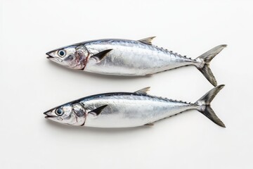Two fresh, whole mackerel fish, laid out flat on a white surface.  Their scales, fins, and bodies are clearly visible, highlighting their natural form
