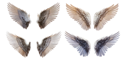 Stunning Array of Angelic Wings in Various Positions and Colors, Isolated on Transparent, white background