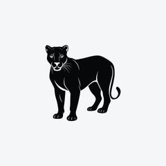 Cougar Animal Vector Illustration