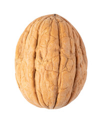 Walnut on transparent background