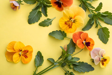 flowers and leaves