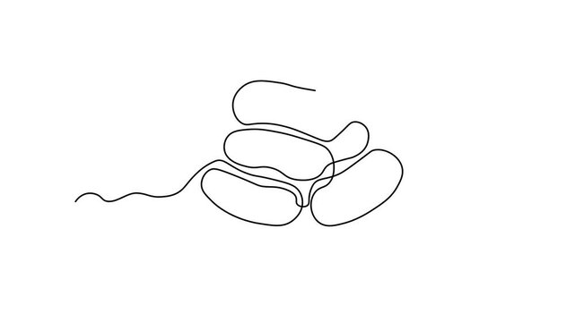 abstract sausages on a plate,wieners, sausage,small sausage,wiener,hotdog. Self drawing animation one continuous line draw, logo
