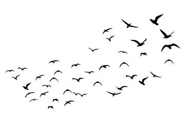 Majestic Bird Silhouettes in Flight Flying Crane Silhouettes Vector

