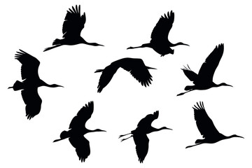 Majestic Bird Silhouettes in Flight Flying Crane Silhouettes Vector