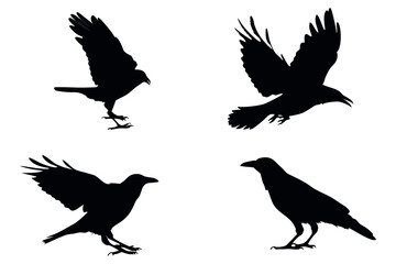 Majestic Bird Silhouettes in Flight Flying Crane Silhouettes Vector

