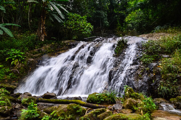 Fototapeta premium Beautiful Small Waterfall in summer Forest in jungle at Doi Saket Distric, Chiang Mai, Thailand