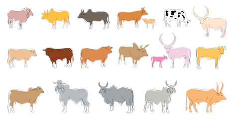 Fototapeta premium Cows-0030 [Converted]