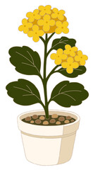 Cute yellow flower pot illustration with crayon texture