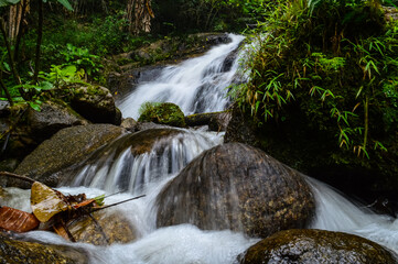 Obraz premium Beautiful Small Waterfall in summer Forest in jungle at Doi Saket Distric, Chiang Mai, Thailand