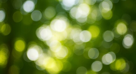 Obraz premium Abstract Bokeh Circles with Green Yellow and White Hues Creates a Bright Natural Ethereal Atmosphere Perfect for Summer Holiday or Spring Season Backgrounds