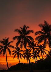 Obraz premium Silhouette Palm Trees at Tropical Sunset