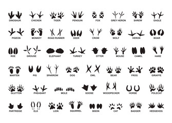 Animal foot print vector, Animal foot print Clipart, Animal foot print silhouette