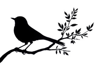 Silhouette of a Mockingbird with Wings Half-Open Capturing a Moment of Poise, Readiness, and Graceful Stillness in Mid-Motion on Transparent PNG Background

