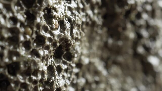 Basalt rock extreme surface close up stock footage