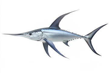 Fototapeta premium Sleek Swordfish with Long Bill Isolated on White