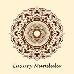 luxury mandala pattern vector design
