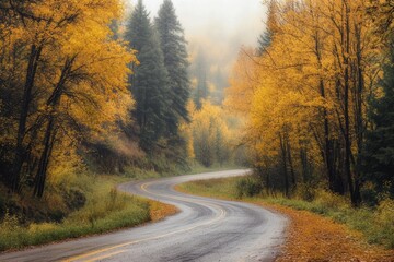 Fototapeta premium Serene Autumn Drive: Winding Road Through Golden Aspens and Misty Mountains