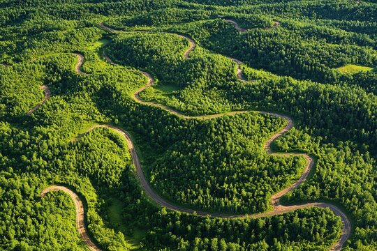 Aerial View of a Winding Road Through Lush Green Forest Landscape: A Serene Journey Through Nature's Embrace
