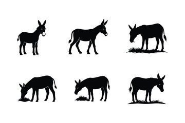Donkey silhouette Vector bundle  illustration, Set of Donkey silhouette 