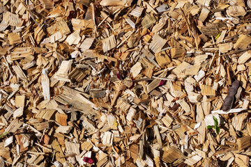 There is a significant pile of wood chips that is laying on the ground