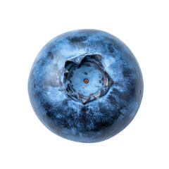 Fresh ripe blueberry isolated on white background showing fine details