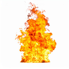 Burning flames rising with a white background