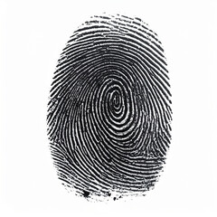 Fingerprint providing security, identification, and access control