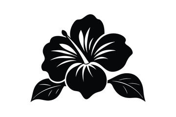 black and white flowers